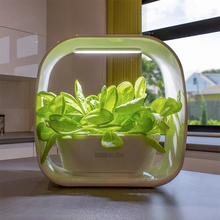 Picture herb planter